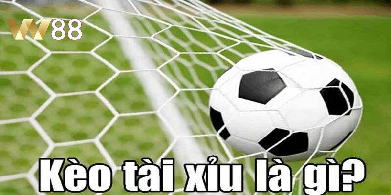 Chiến thuật giúp người chơi chinh phục ván cược